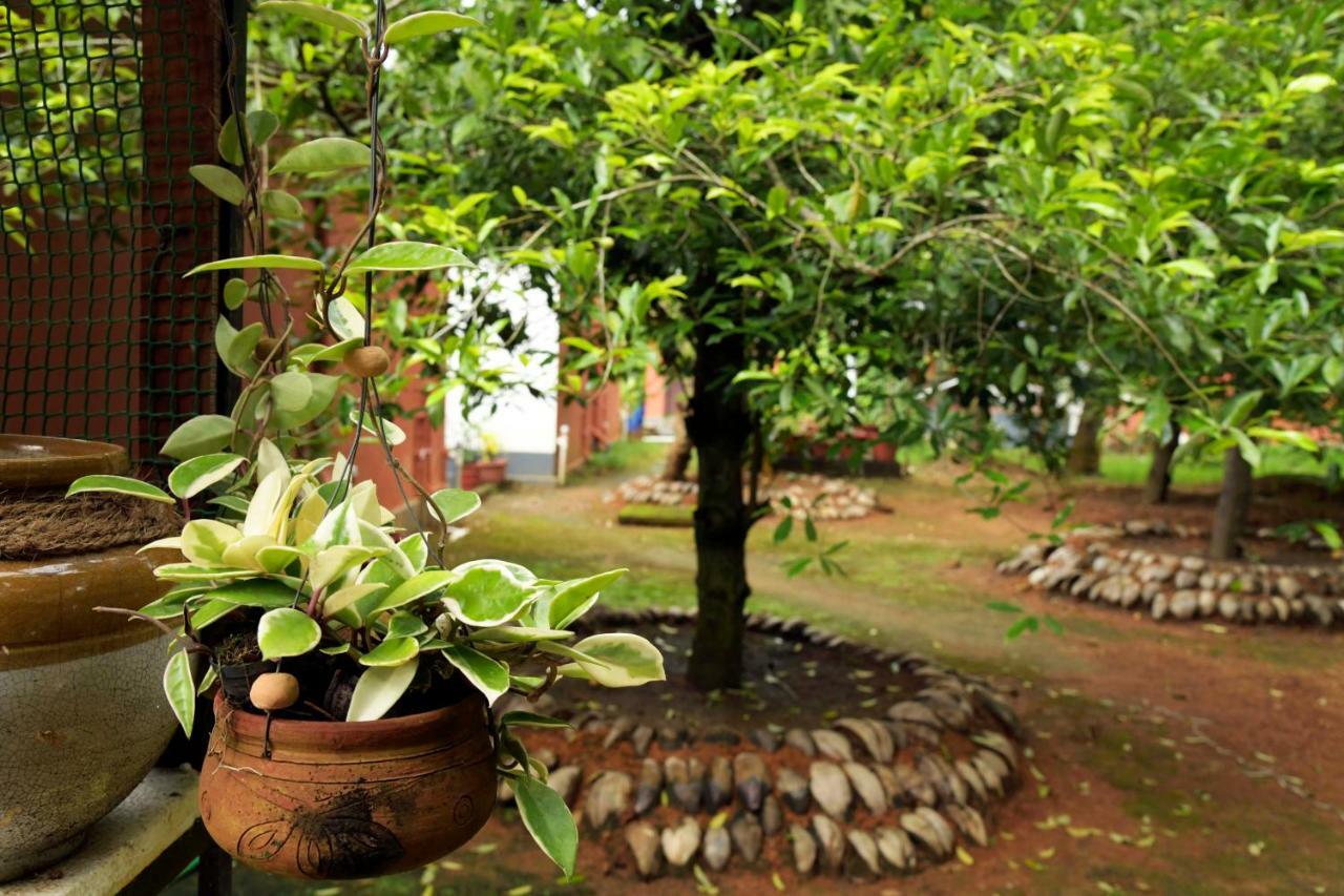 Stayvista At La Riva Heritage Villa With Bicycle Alappuzha Exteriér fotografie